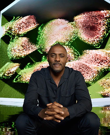 Idris Elba, OBE