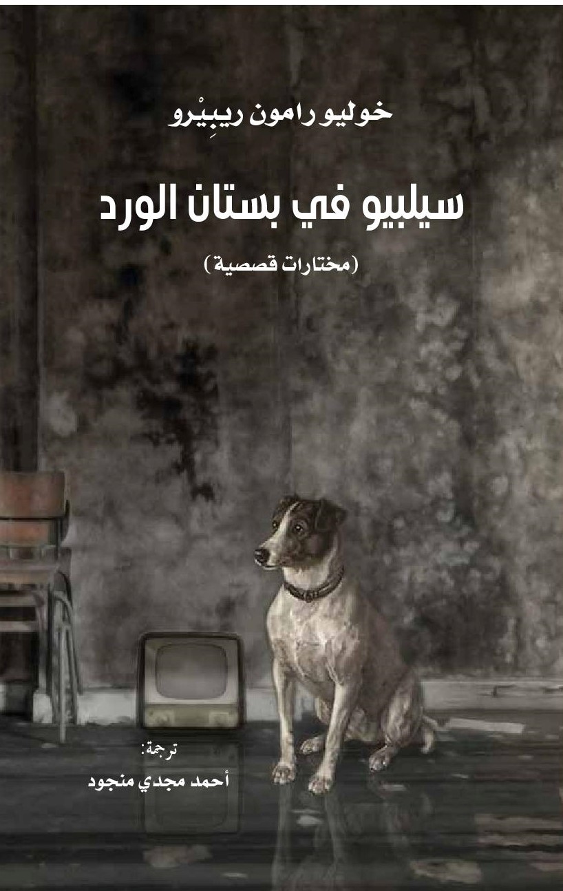 card-book-cover
